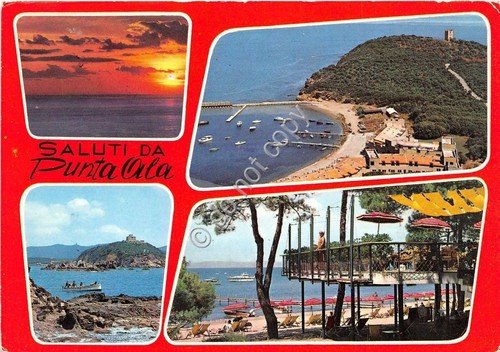 Cartolina - Postcard - Saluti da - Punta Ala - … | Immagine principale
