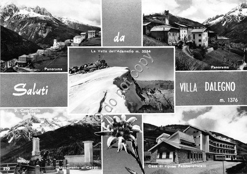 Cartolina - Postcard - Saluti da - Villa Dalegno - …