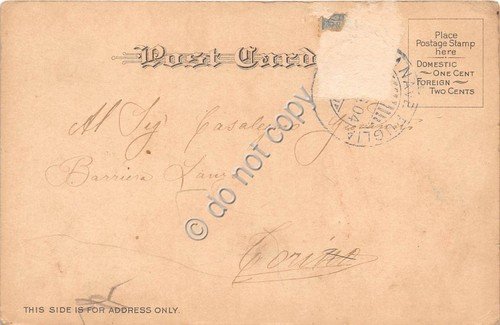 Cartolina - Postcard - San Francisco Dupont Street Chinatown animata …