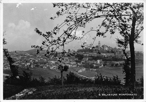 Cartolina - Postcard - San Salvatore Monferrato - panorama - … | Immagine principale