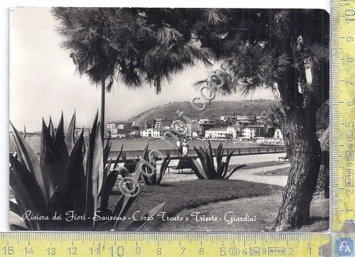 Cartolina - Postcard - Sanremo - Corso Trento e Trieste … | Immagine principale