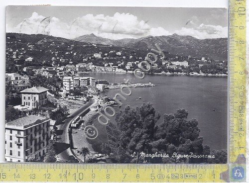 Cartolina - Postcard - Santa Margherita - Panorama - 1953 | Immagine principale