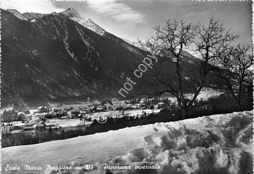Cartolina - Postcard - Santa Maria Maggiore - Panorama invernale …
