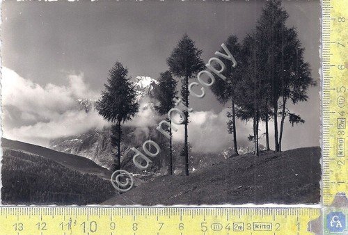 Cartolina - Postcard - Sassolungo - Timbro Albergo Funivia - … | Immagine principale