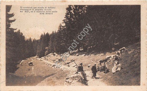 Cartolina - Postcard - Secondo Parmense - Poesia A. Negri … | Immagine principale
