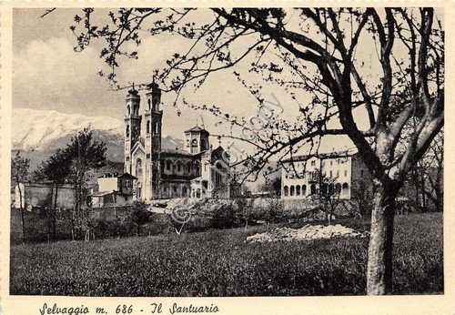 Cartolina - Postcard - Selvaggio - Il Santuario - anni …