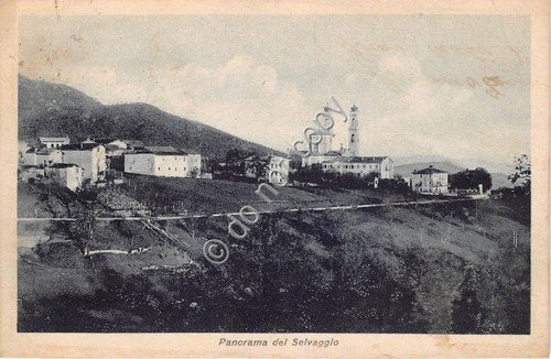 Cartolina - Postcard - Selvaggio Giaveno panorama del Selvaggio Santuario …