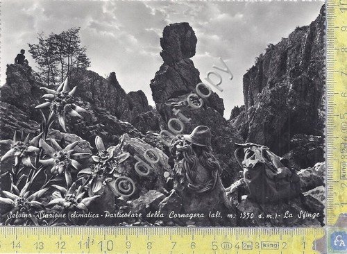 Cartolina - Postcard - Selvino - Cornagera - 1956 | Immagine principale