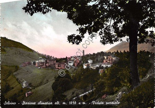 Cartolina - Postcard - Selvino - Panorama - 1955 | Immagine principale