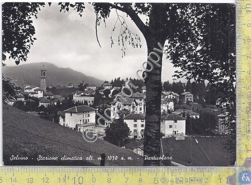 Cartolina - Postcard - Selvino - Panorama - anni '50