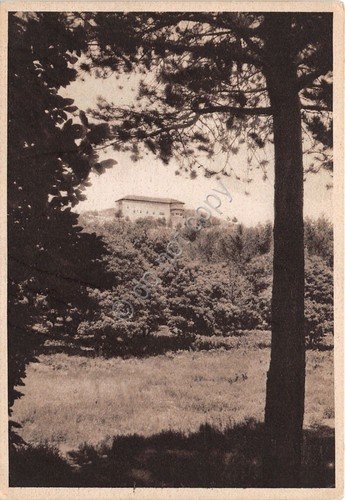 Cartolina - Postcard - Serra della Nave - Grande albergo … | Immagine principale