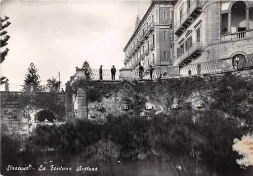 Cartolina - Postcard - Siracusa - Fontana Aretusa - animata … | Immagine principale