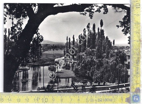 Cartolina - Postcard - Spoleto - Fonti d Clitumno - …