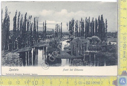 Cartolina - Postcard - Spoleto - Fonti del Cilitunno - …