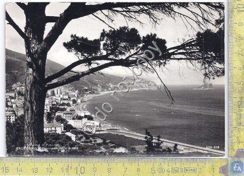 Cartolina - Postcard - Spoltorno - panorama - 1963 (Savona)