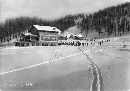 Cartolina - Postcard - Sportinia - anni '50 | Immagine principale