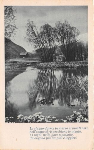 Cartolina - Postcard - Stagno - Poesia - NVG