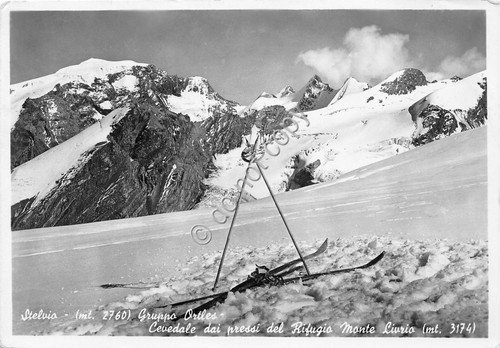 Cartolina - Postcard - Stelvio - Cevedale - Monte Livrio …