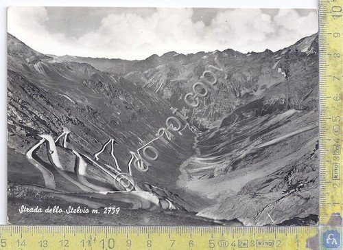 Cartolina - Postcard - Strada dello Stelvio - anni '50