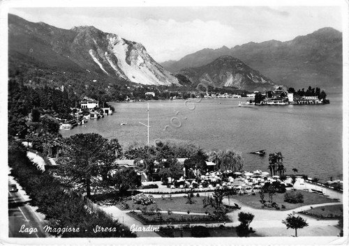 Cartolina - Postcard - Stresa - Giardini - 1962 | Immagine principale