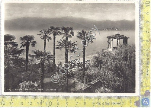 Cartolina - Postcard - Stresa - Giardini - anni '50