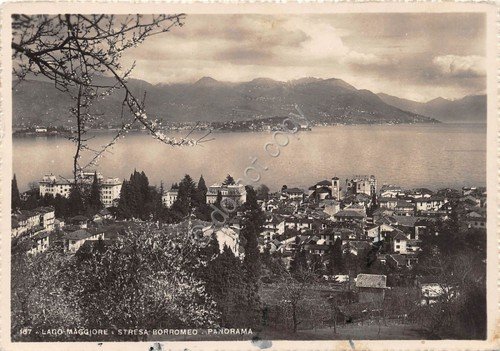 Cartolina - Postcard - Stresa - Panorama - anni '40 | Immagine principale