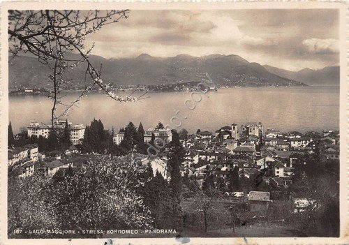 Cartolina - Postcard - Stresa - Panorama - anni '40