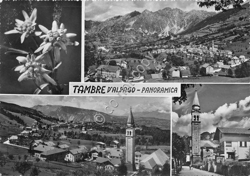 Cartolina - Postcard - Tambre d'Alpago - vedutine - 1964 | Immagine principale