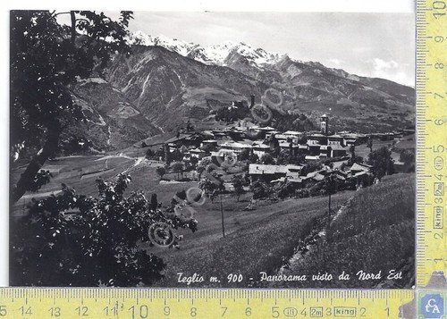 Cartolina - Postcard - Teglio - Panorama - anni ' …