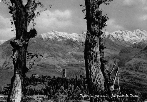 Cartolina - Postcard - Teglio - Torre sul fondo - … | Immagine principale