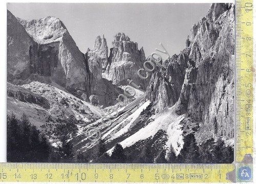 Cartolina - Postcard - Torri di Vajolet - anni '50 | Immagine principale