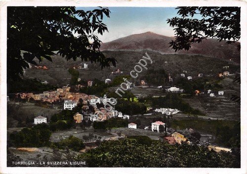 Cartolina - Postcard - Torriglia Panorama 1955