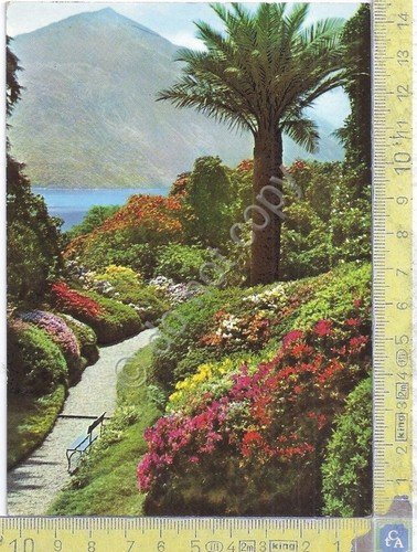Cartolina - Postcard - Tremezzo - Villa Carlotta - Giardini … | Immagine principale