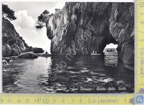 Cartolina - Postcard - Tremiti - S.Domino - Grotta Viole … | Immagine principale