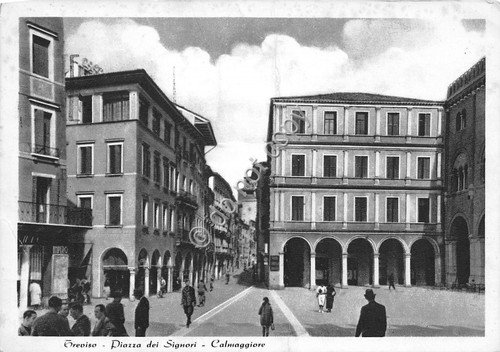 Cartolina - Postcard - Treviso - Piazza dei Signori - … | Immagine principale