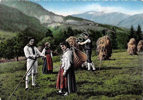 Cartolina - Postcard - Udine - Contadini in costume - …