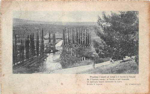 Cartolina - Postcard - Umbria verde - Poesia Carducci - … | Immagine principale