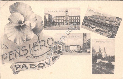 Cartolina - Postcard - Un pensiero da - Padova - … | Immagine principale