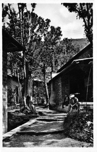 Cartolina - Postcard - Uscio - Colonia Arnaldi - Edilizia …