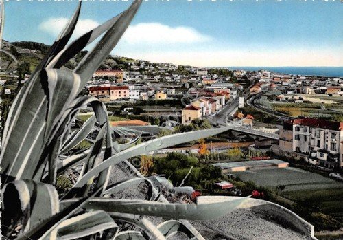 Cartolina - Postcard - Vallecrosia - Panorama - 1957