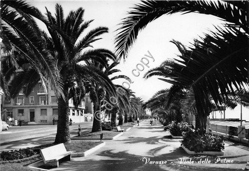 Cartolina - Postcard - Varazze Viale delle Palme 1964 | Immagine principale