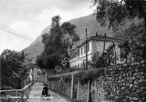 Cartolina - Postcard - Vassena di Oliveto Lario - via …