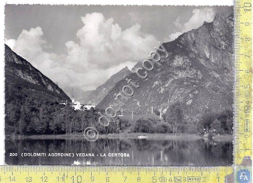Cartolina - Postcard - Vedana - La Certosa - 1956 | Immagine principale