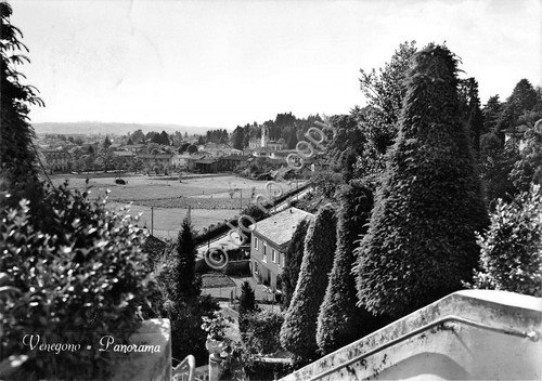 Cartolina - Postcard - Venegono - Panorama - 1959