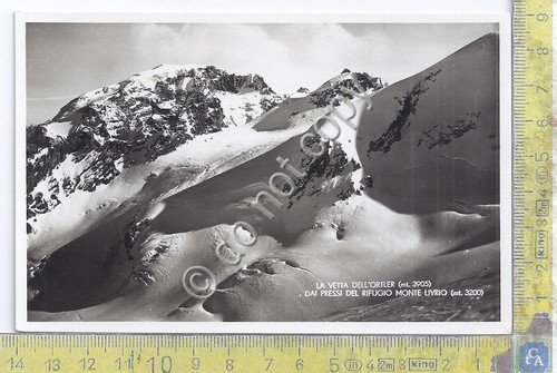 Cartolina - Postcard - Vetta Ortler - Rifugio Monte Livrio