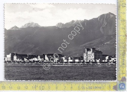 Cartolina - Postcard - Viareggio - Panorama e Alpi Apuane … | Immagine principale