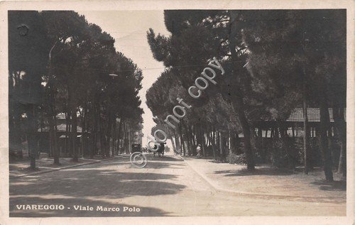 Cartolina - Postcard - Viareggio - Via Marco Polo - … | Immagine principale