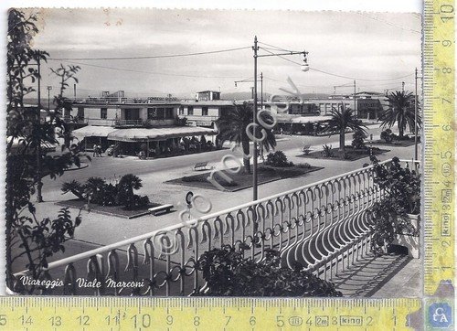 Cartolina - Postcard - Viareggio - Viale Marconi - 1952 | Immagine principale