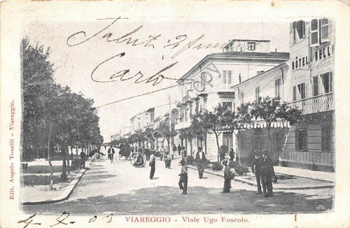 Cartolina - Postcard - Viareggio via Ugo Foscolo animata 1903 …