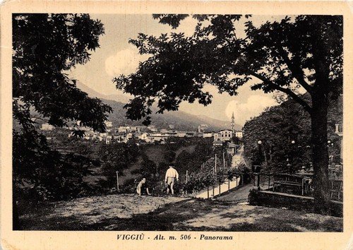Cartolina - Postcard - Viggiù - Panorama - animata - …